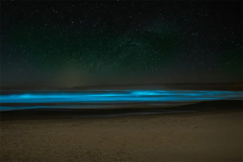 Durante los meses de mayo a septiembre es la mejor temporada para ver bioluminiscencia. Foto: Unsplash. Durante los meses de mayo a septiembre es la mejor temporada para ver bioluminiscencia. Foto: Unsplash.