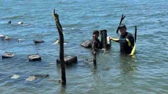 Cooperativas de mujeres sinaloenses organizan reunión para una pesca sostenible e inclusiva
