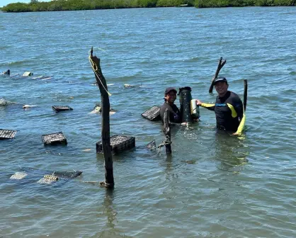 Cooperativas de mujeres sinaloenses organizan reunión para una pesca sostenible e inclusiva