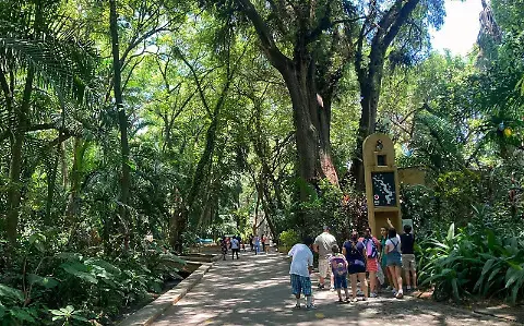 Disfruta de Cuernavaca en sitios llenos de naturaleza. Foto: Cortesía.