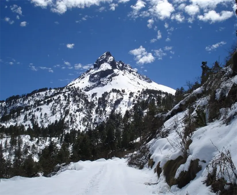 Parque Nacional Nevado de Colima. Foto:cortesía.