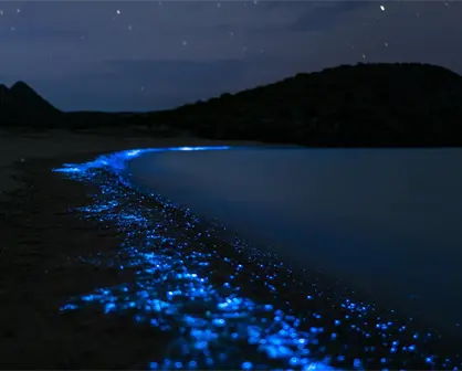 Playas con bioluminiscencia en Quintana Roo