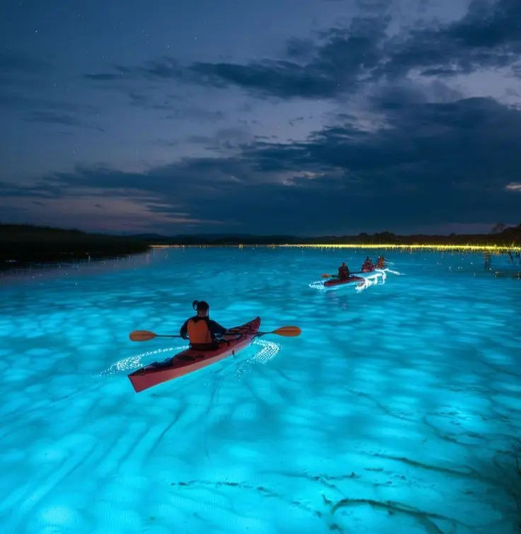 Visita Oaxaca y disfruta de este fenómeno natural de la bioluminiscencia. Foto: Cortesía. Visita Oaxaca y disfruta de este fenómeno natural de la bioluminiscencia. Foto: Cortesía.