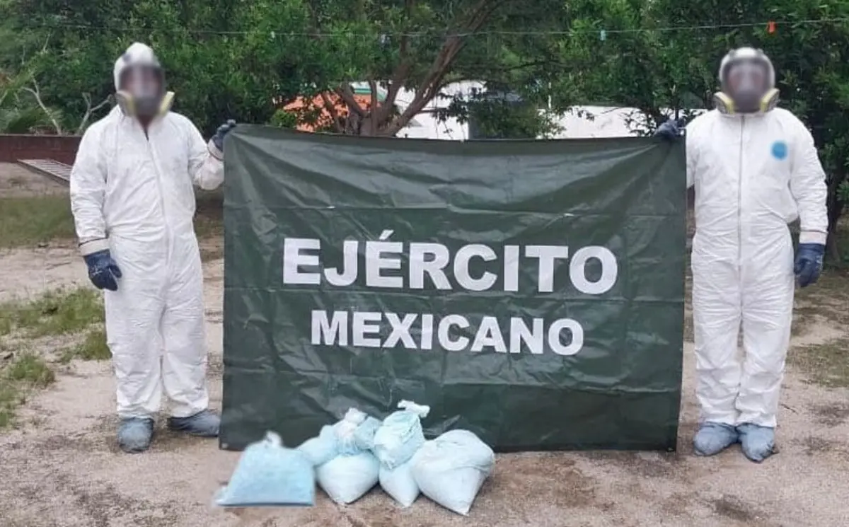 El costo de la droga asegurada es de casi 350 millones de pesos. Foto: SSPC