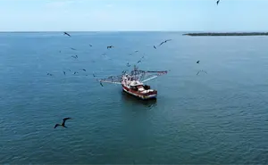 Alcalde de Navolato impulsa dragado en Boca de La Palmita para detonar turismo y pesca