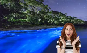 Playas con bioluminiscencia en Oaxaca,  guía completa para vivir este espectáculo natural