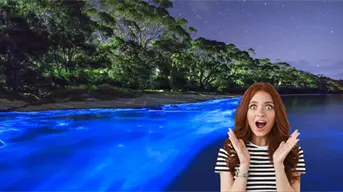 Playas con bioluminiscencia en Oaxaca,  guía completa para vivir este espectáculo natural