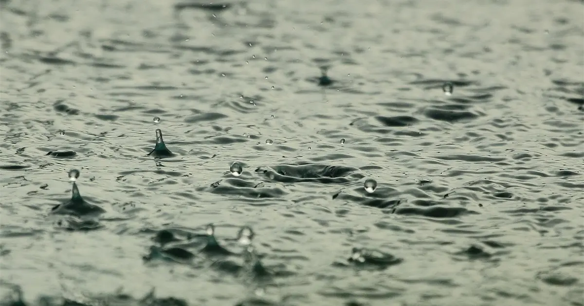 USEMOS EL AGUA DE LLUVIA