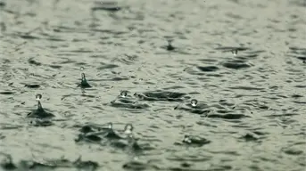 USEMOS EL AGUA DE LLUVIA