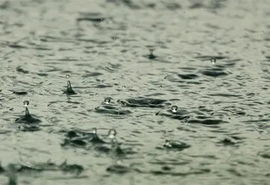 USEMOS EL AGUA DE LLUVIA