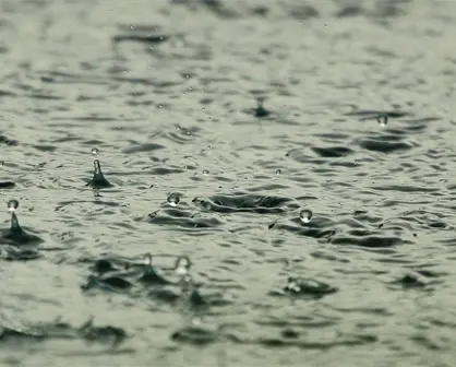 USEMOS EL AGUA DE LLUVIA