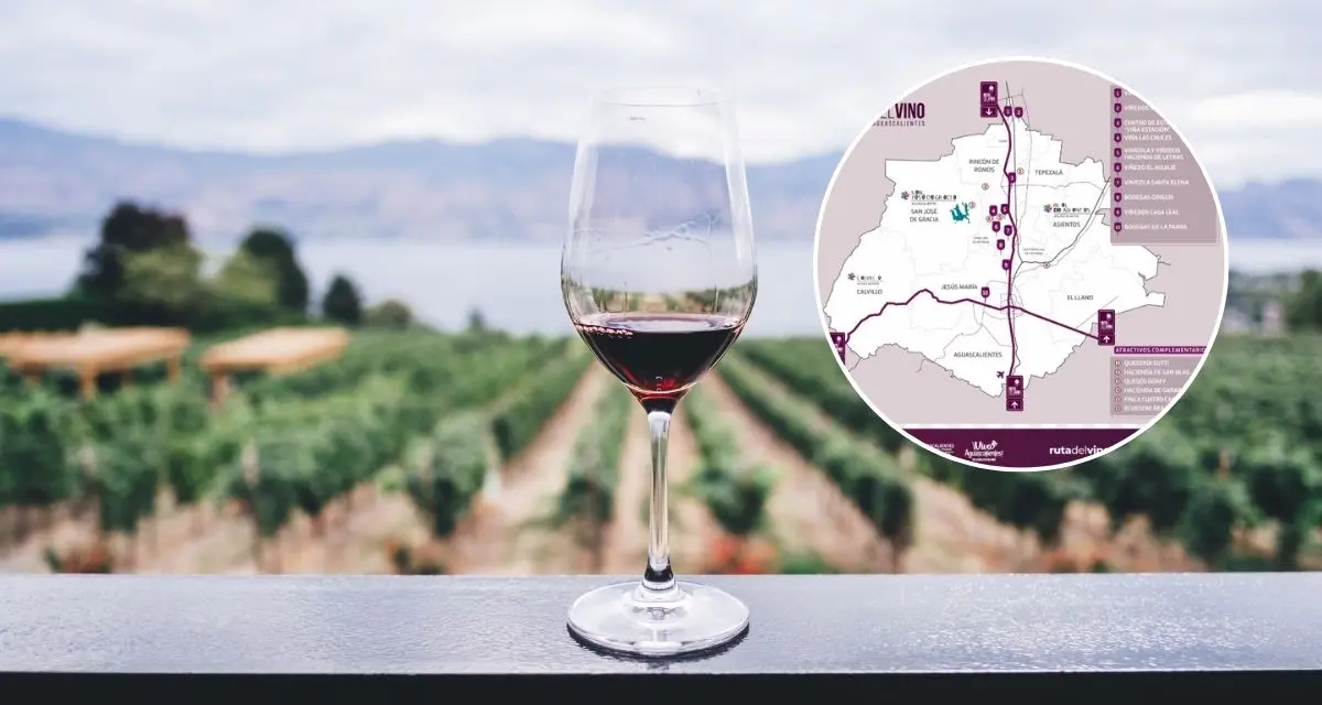Conoce los lugares para visitar este 30 y 31 de agosto en la Ruta del Vino en Aguascalientes. Foto: cortesía
