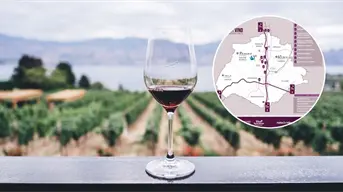 Ruta del Vino en Aguascalientes, eventos para este sábado 30  y domingo 31 de agosto