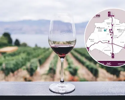Ruta del Vino en Aguascalientes, eventos para este sábado 30  y domingo 31 de agosto