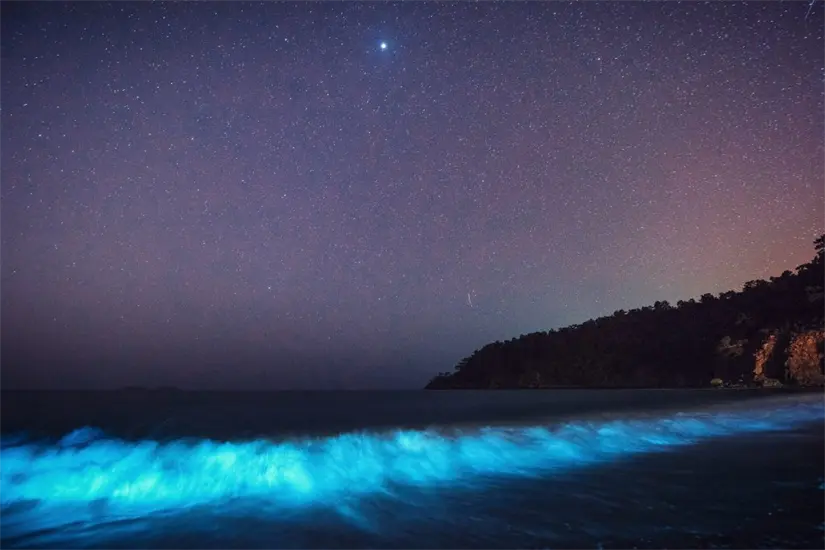 El fenómeno de la bioluminiscencia puede ser observados mayormente en playas. Foto: Cortesía.
