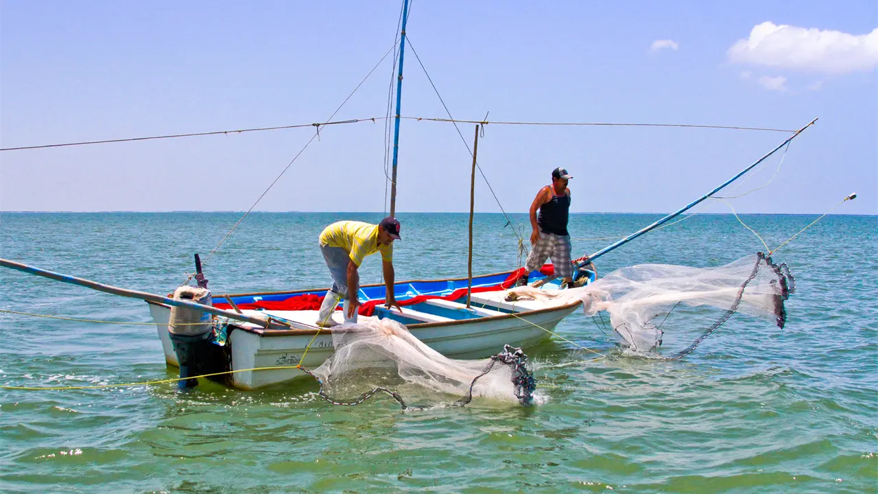 Autoridades llaman a respetar la veda para asegurar una pesca sostenible. Foto: Cortesía