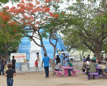 Risas y adrenalina: el tobogán o resbaladilla con costales que nunca pasa de moda en Culiacán