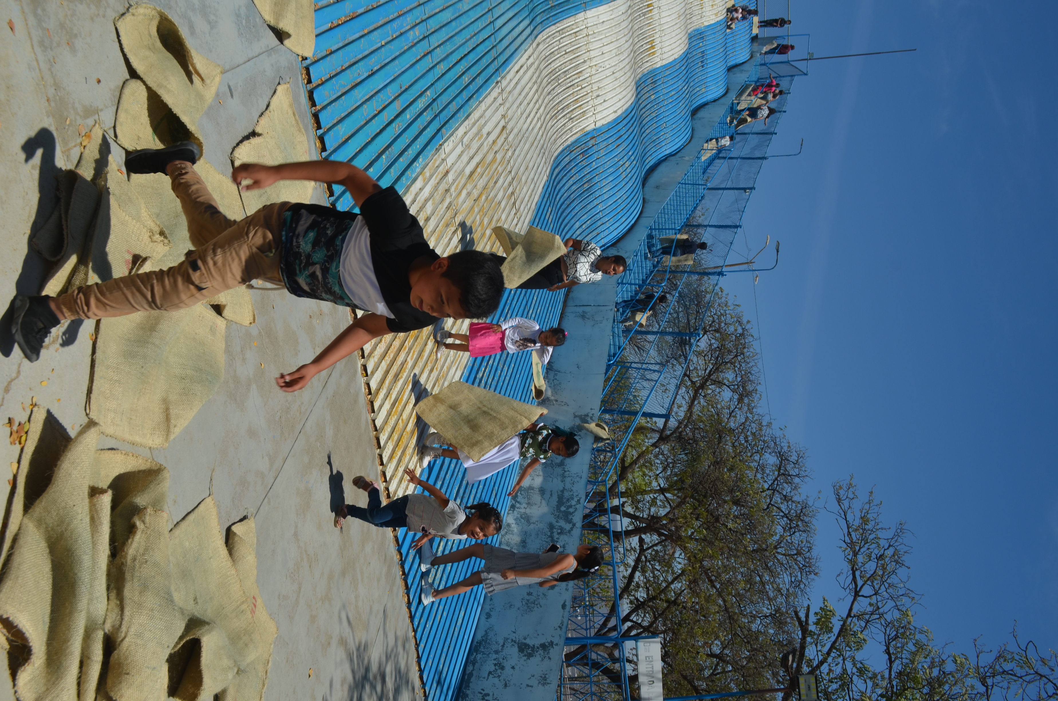 Imagen 7