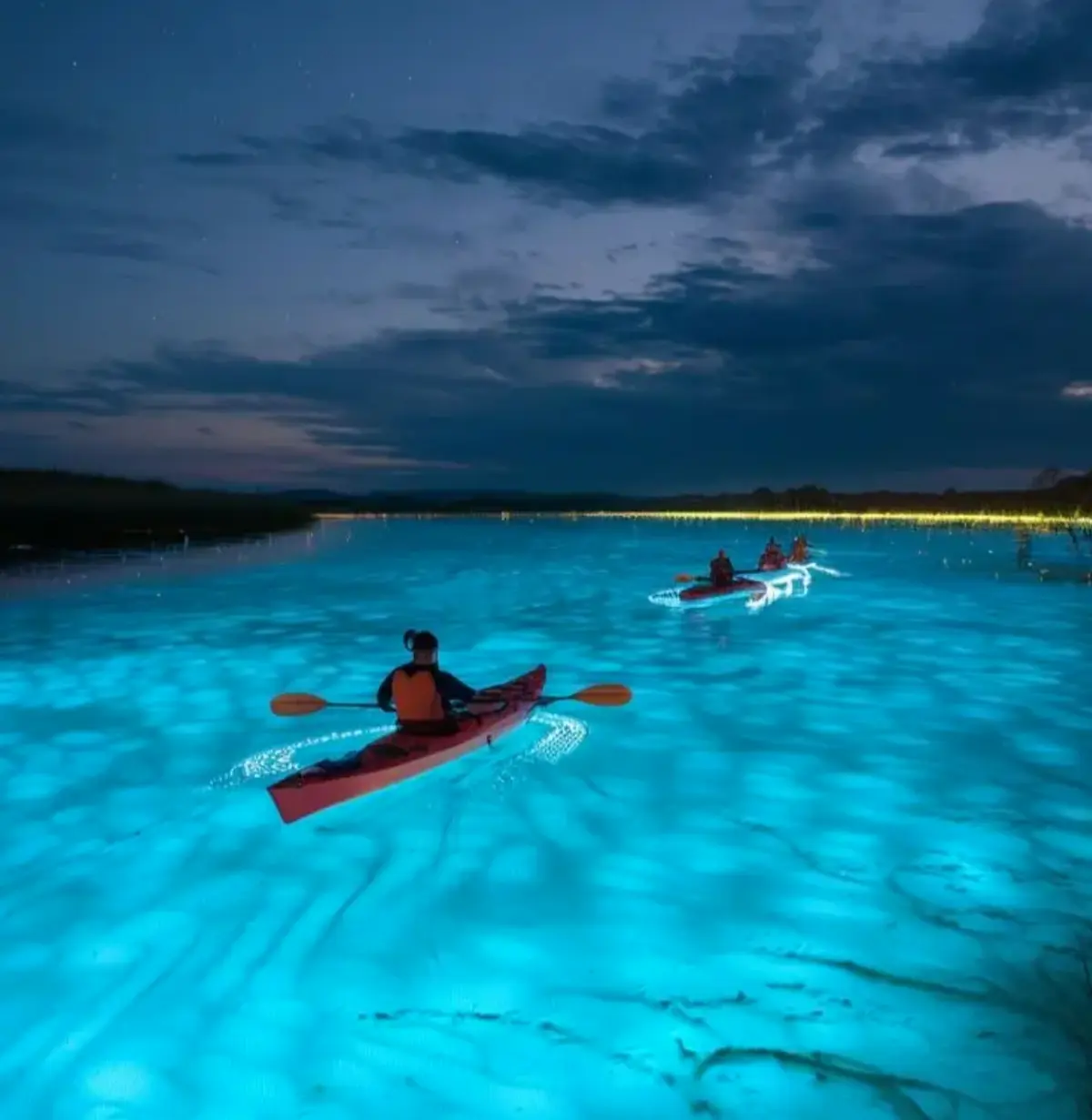 Disfruta de la bioluminiscencia de las playas de Oaxaca en Kayak. Foto: cortesía Disfruta de la bioluminiscencia de las playas de Oaxaca en Kayak. Foto: cortesía.