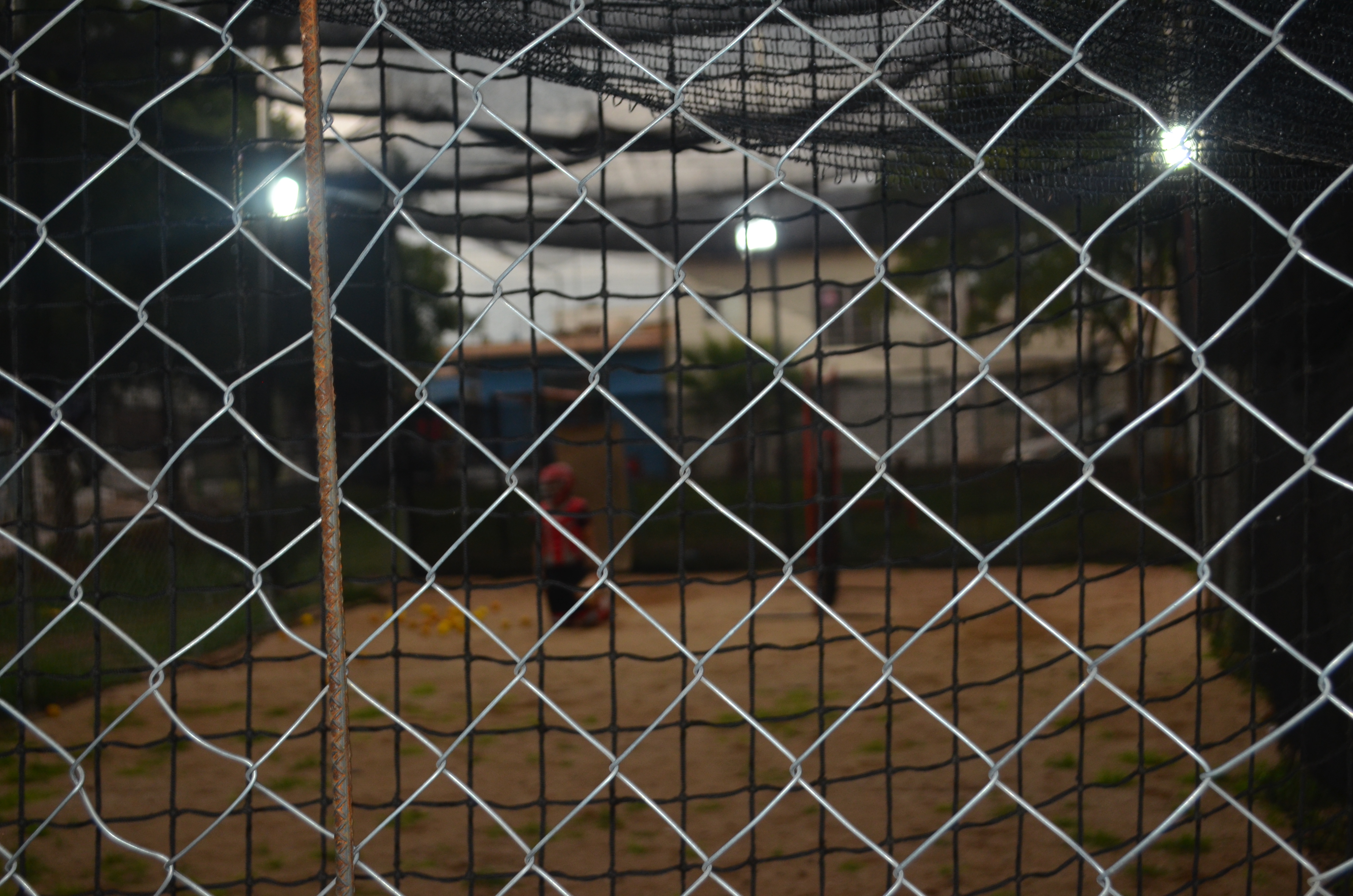 Imagen 13