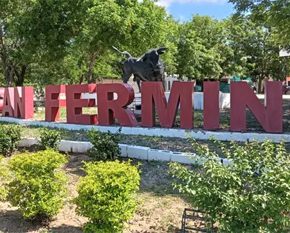 El toro de San Fermín: escultura que da identidad al norte de Culiacán