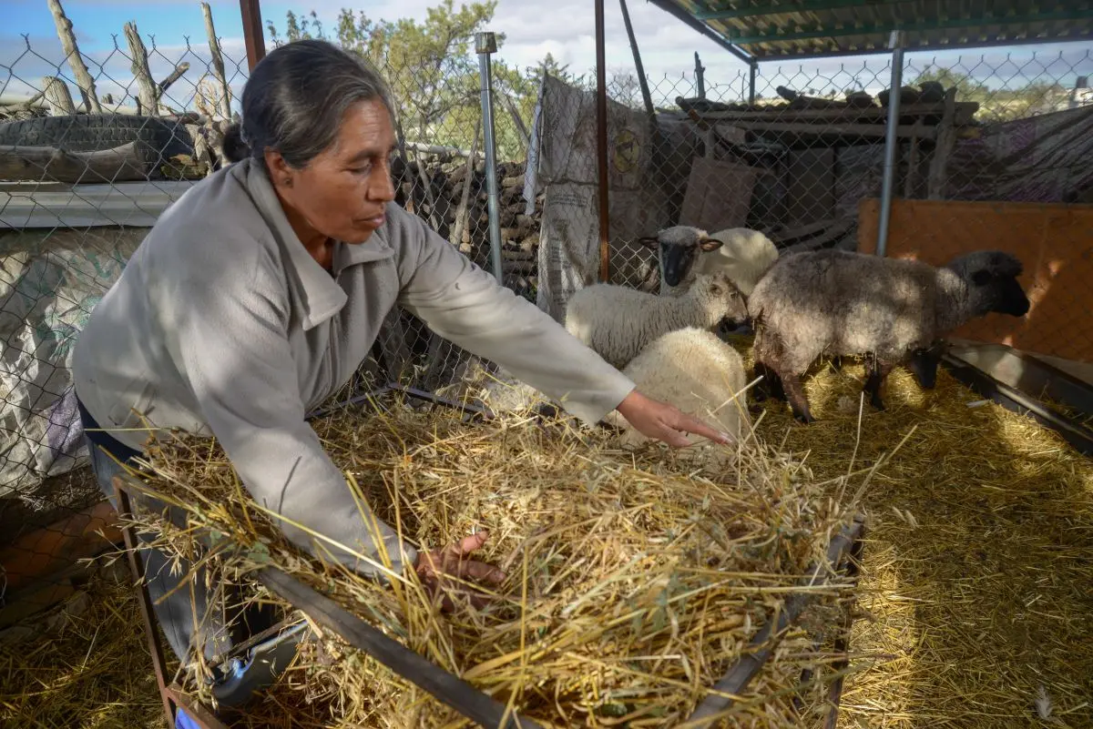En Aguascalientes darán apoyo para mujeres del campo. Foto: Cortesía