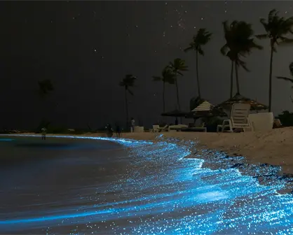 Playas con bioluminiscencia en Chacahua, Oaxaca, cuando es el mejor momento para visitarlas