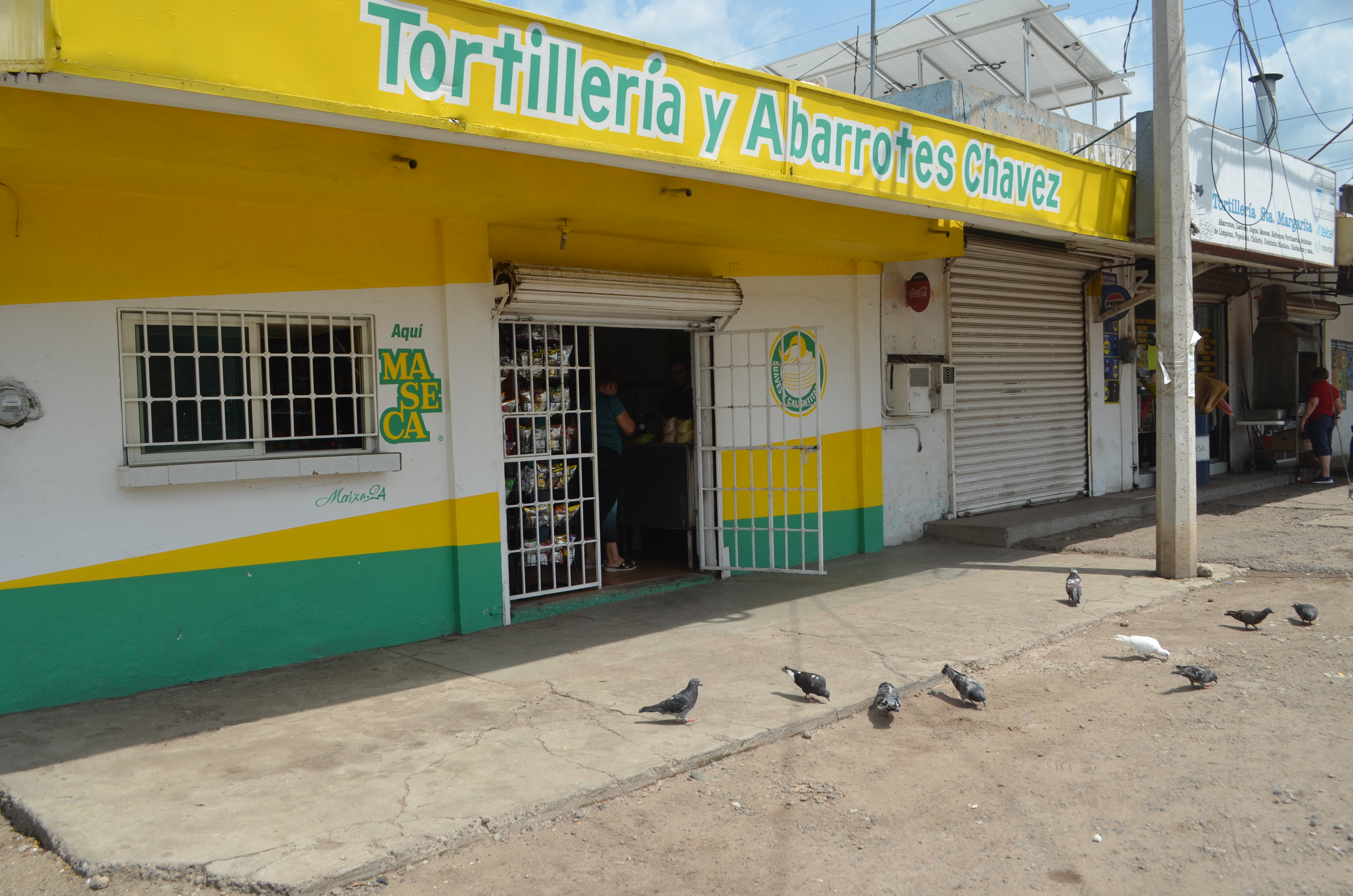 Imagen 12