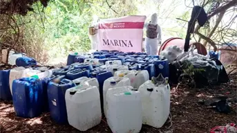 Fuerte decomiso en Nayarit: aseguran sustancias químicas por más de 885 millones de pesos