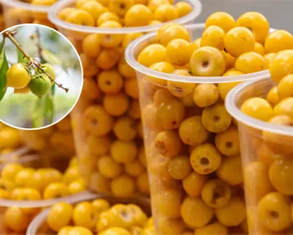 La joya yucateca rica en vitamina C que refuerza tu sistema inmune