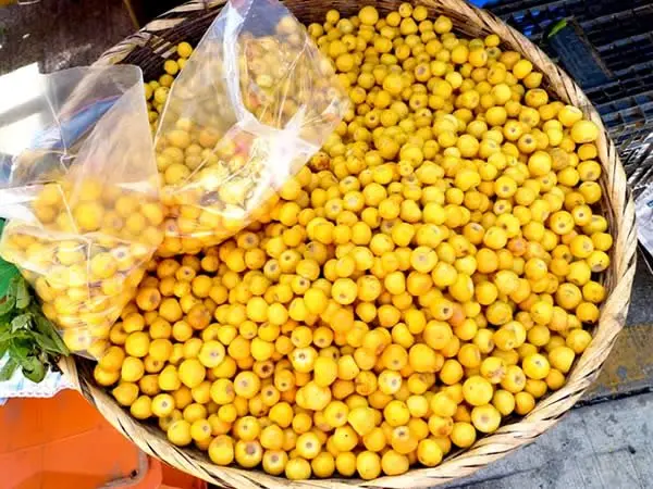 Fruta de origen yucateca es llamada de diferente manera, como Nance, Nanche y changunga. Foto: Cortesía. Fruta de origen yucateca es llamada de diferente manera, como Nance, Nanche y changunga. Foto: Cortesía.