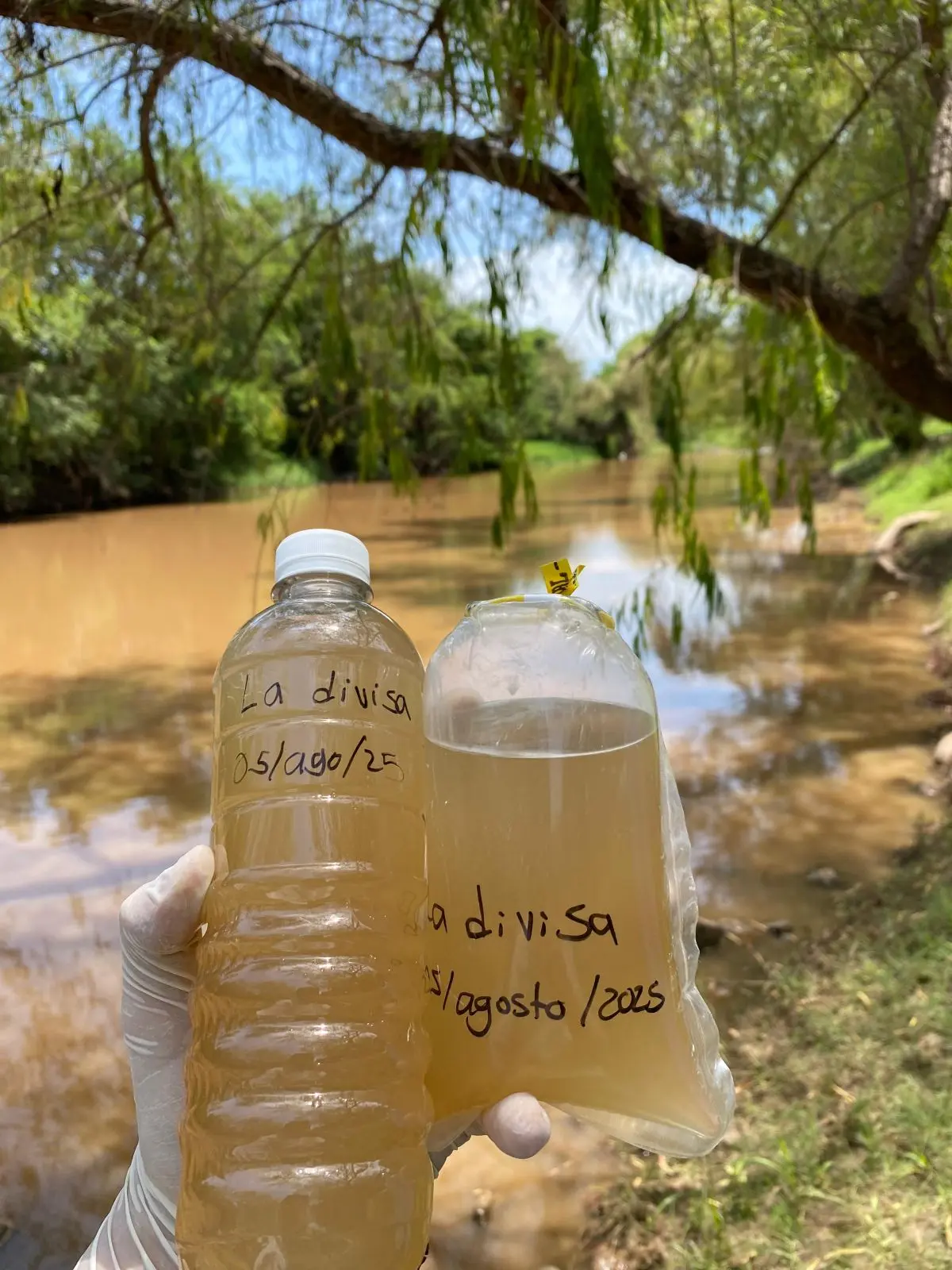 Resultados de calidad del Agua en paraje La Divisa o Ayuné en Río Tamazula Culiacán