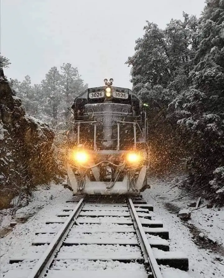 Tren Chepe