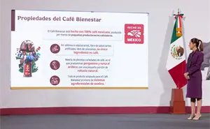 Sheinbaum afirma: homicidios disminuyen en Sinaloa y casi todo México