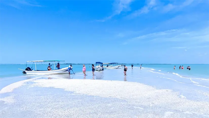 Conoce cómo puedes llegar hasta Cayo Las Comadres, en Campeche. Foto: PorEsto! Conoce cómo puedes llegar hasta Cayo Las Comadres, en Campeche. Foto: PorEsto!