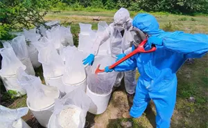 Decomiso millonario en Culiacán: aseguran material para elaborar metanfetamina con valor de 151 mdp