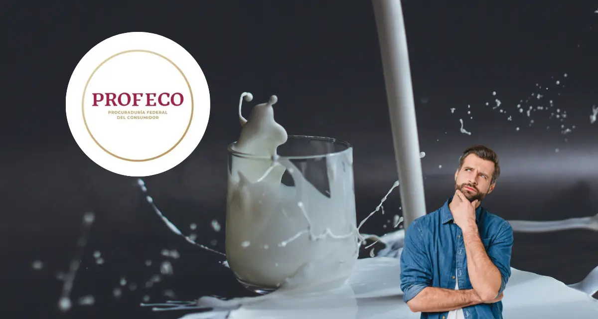 Estas son las marcas de leche que si puedes consumir con alto valor nutricional según la Profeco. Foto: Cortesía.