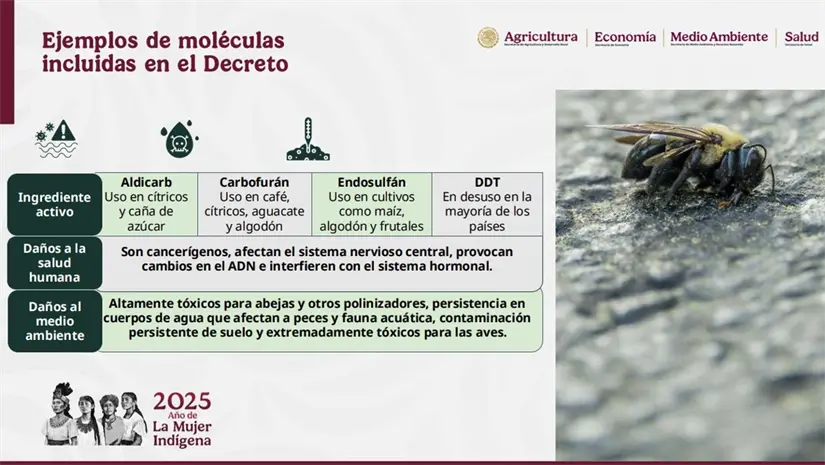 imagen recuadro