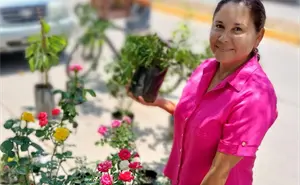 Rossy es la señora de las plantas que siembra vida y paz en el tianguis de Navolato