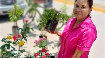 Rossy es la señora de las plantas que siembra vida y paz en el tianguis de Navolato