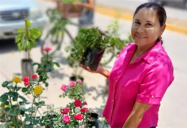 Rossy es la señora de las plantas que siembra vida y paz en el tianguis de Navolato