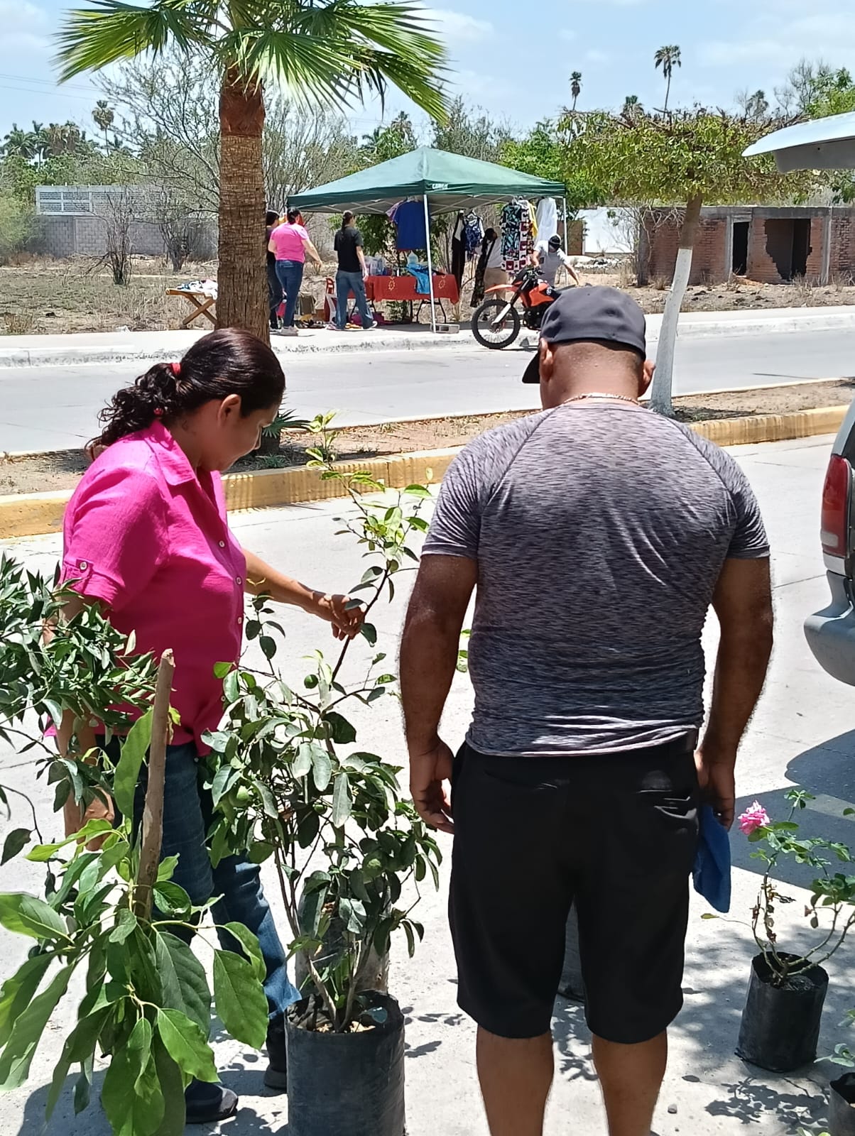 Imagen 8