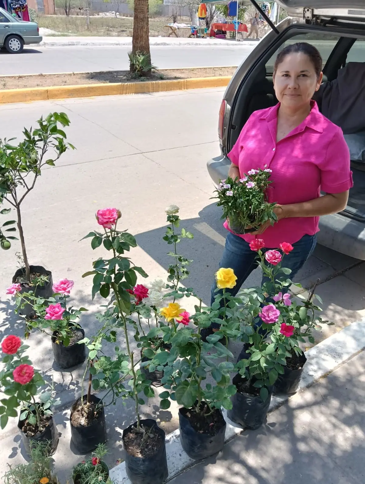 Con mucha pasión Rossy cuida de sus plantas todos los días en su casa. Con mucha pasión Rossy cuida de sus plantas todos los días en su casa.