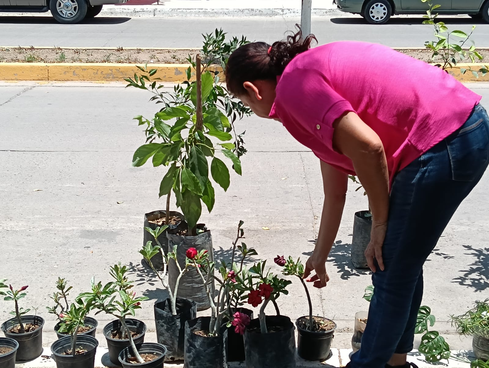 Imagen 16