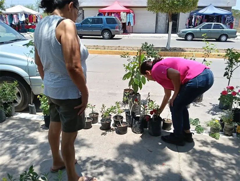 Rossy atiende a sus clientes en el tianguis de la textilera todos los domingos. Rossy atiende a sus clientes en el tianguis de la textilera todos los domingos.