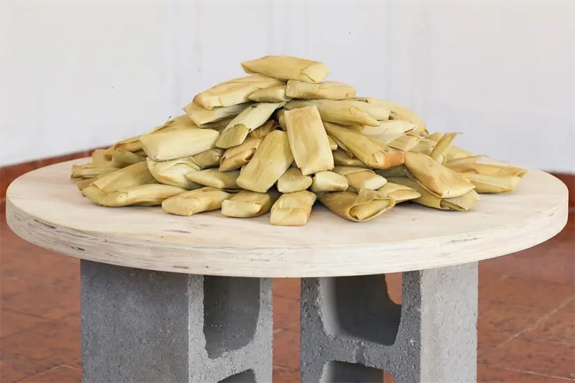 imagen recuadro Carboneras, Alejandro Castañeda, 2022. Instalación de 100 tamales de elote del rancho de Carboneras sobre madera y bloques de concreto, exhibición