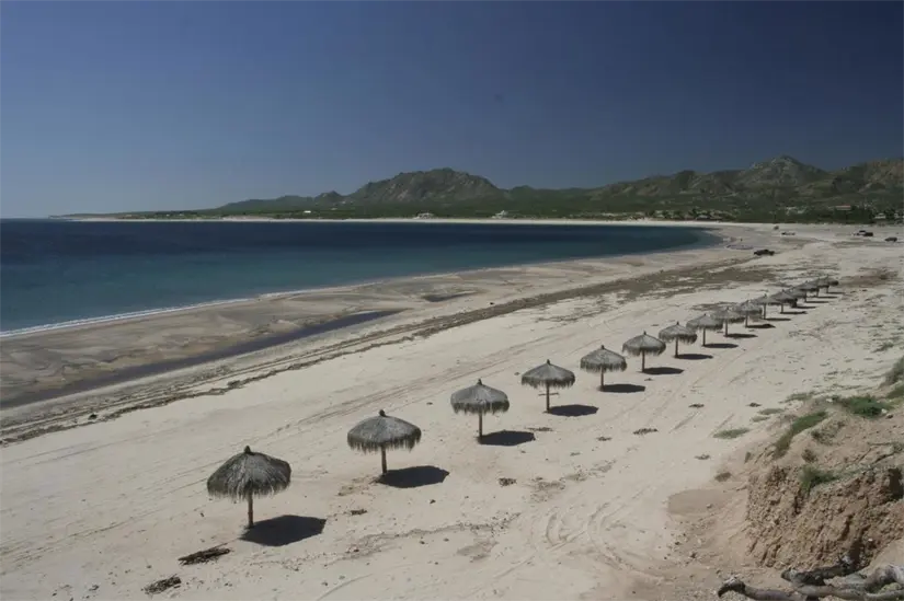 Cabo Pulmo es una área natural protegida de Baja California Sur. Foto: Cortesía. Cabo Pulmo es una área natural protegida de Baja California Sur. Foto: Cortesía.
