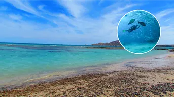 ¿Qué se hace en Cabo Pulmo?, llamado El Acuario del Mundo