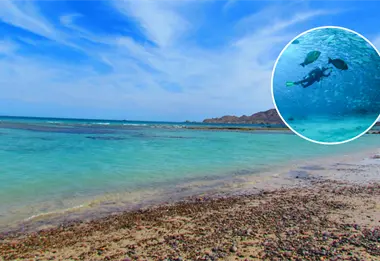 ¿Qué se hace en Cabo Pulmo?, llamado El Acuario del Mundo