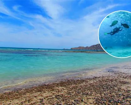 ¿Qué se hace en Cabo Pulmo?, llamado El Acuario del Mundo